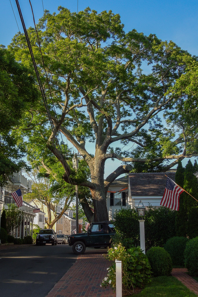DSCN7451.jpg
