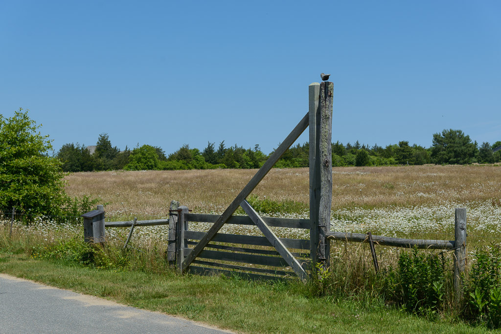 _DSC4655.jpg