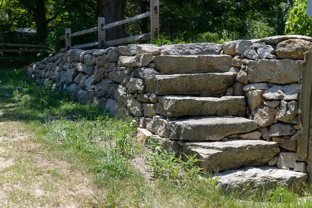 _DSC4664.jpg