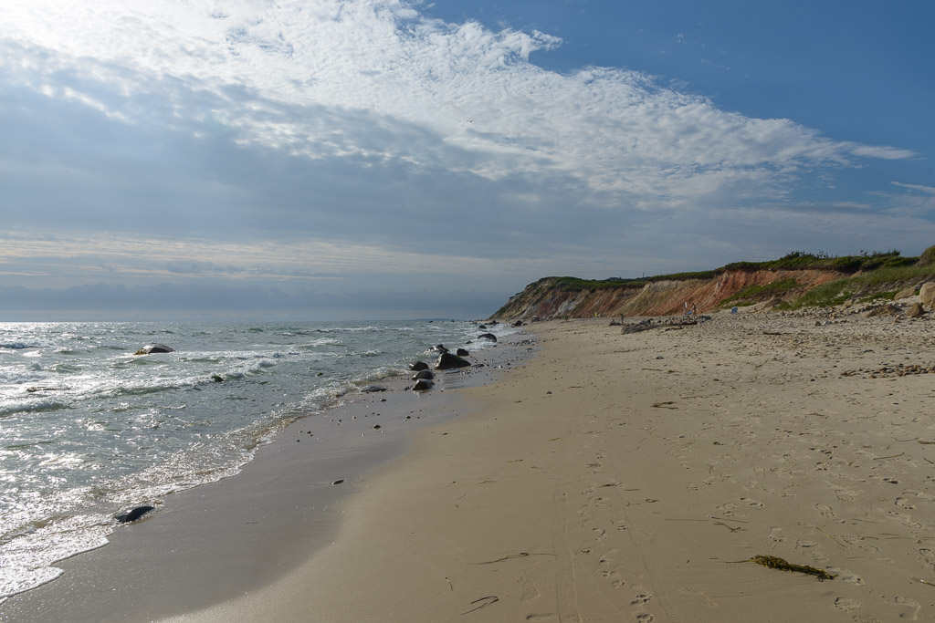 _DSC4860.jpg