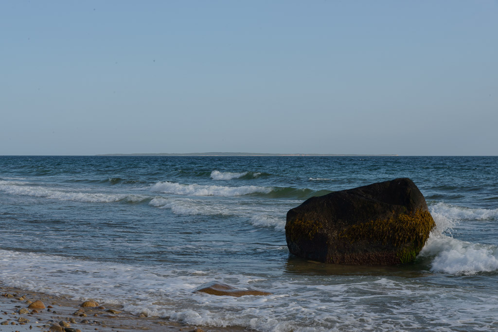 _DSC4875.jpg