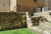 León
