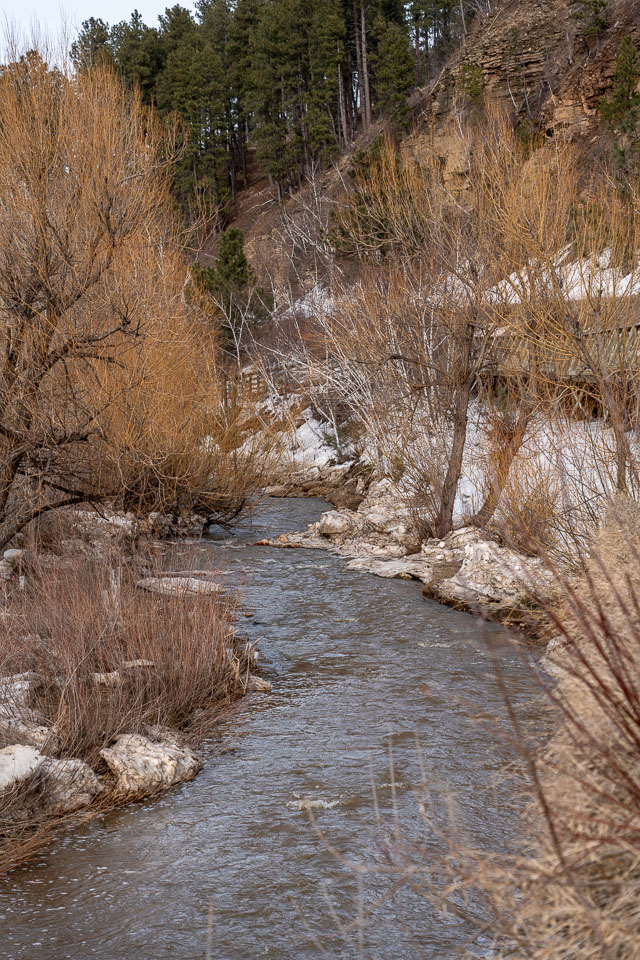 _DSC3972.jpg