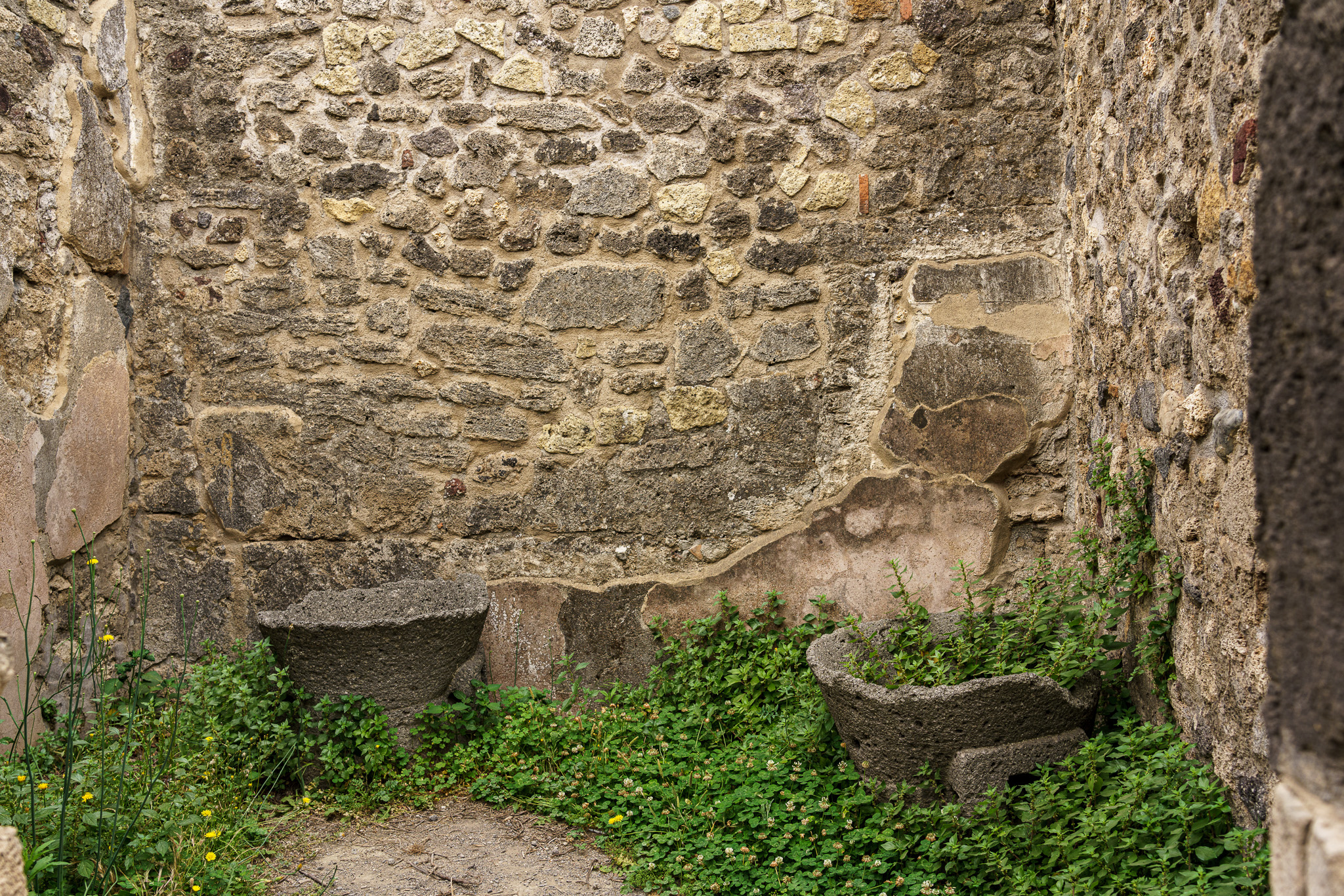 _DSC4825.jpg
