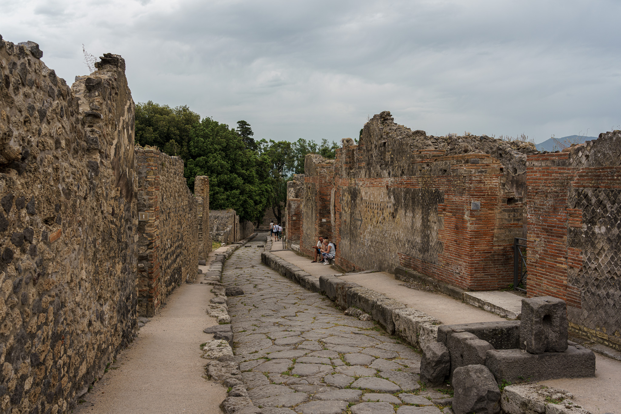 _DSC4827.jpg