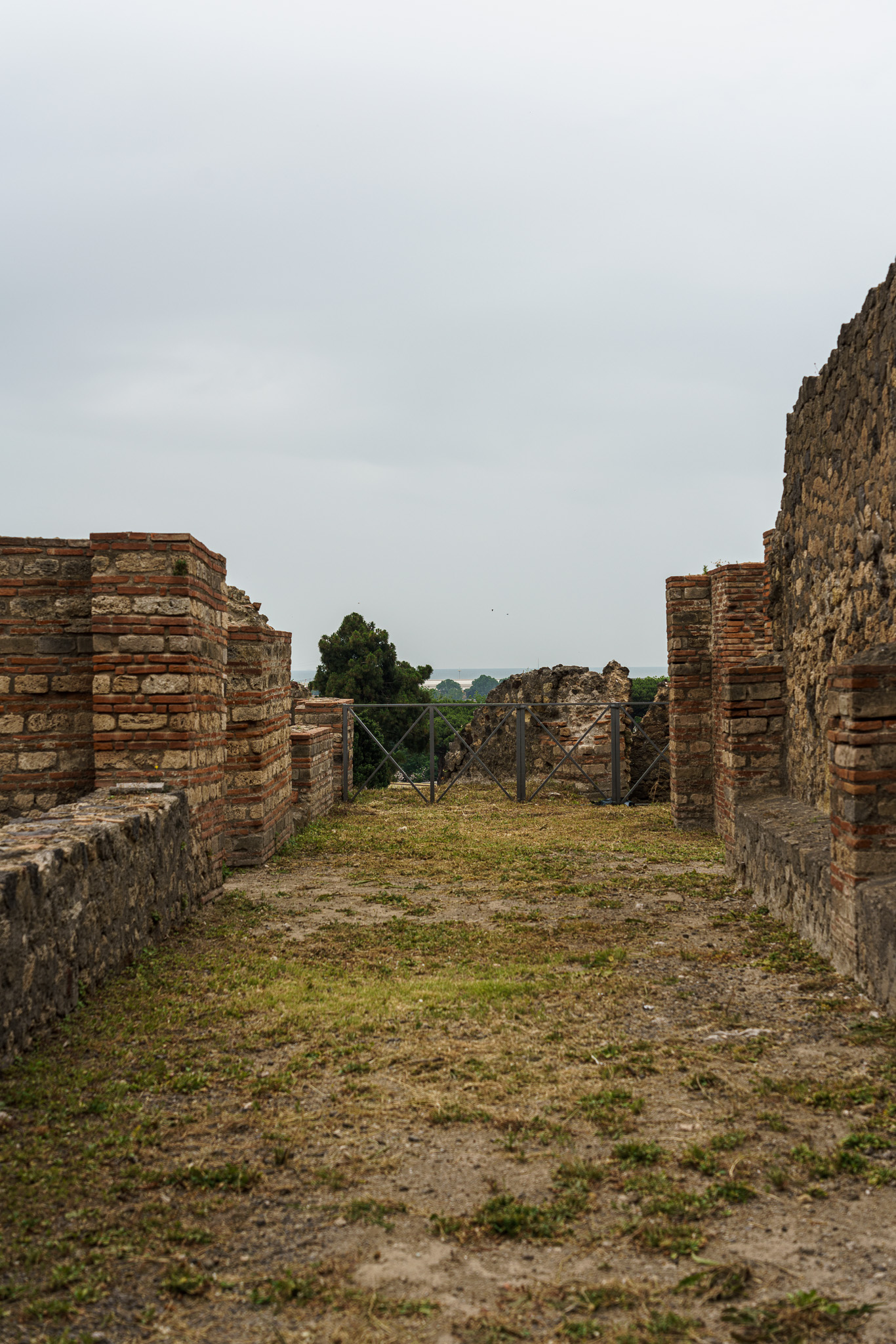 _DSC4836.jpg