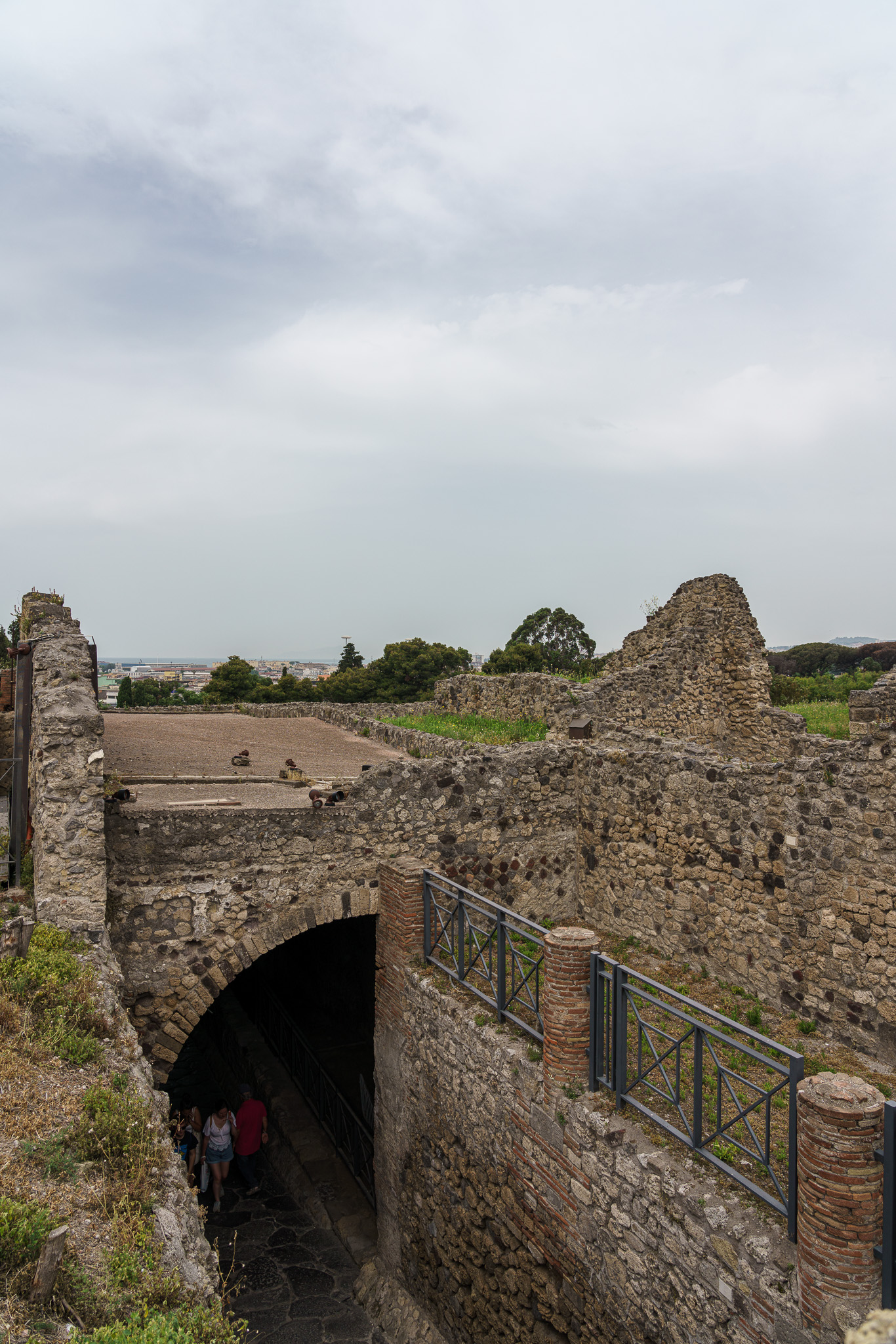 _DSC4865.jpg