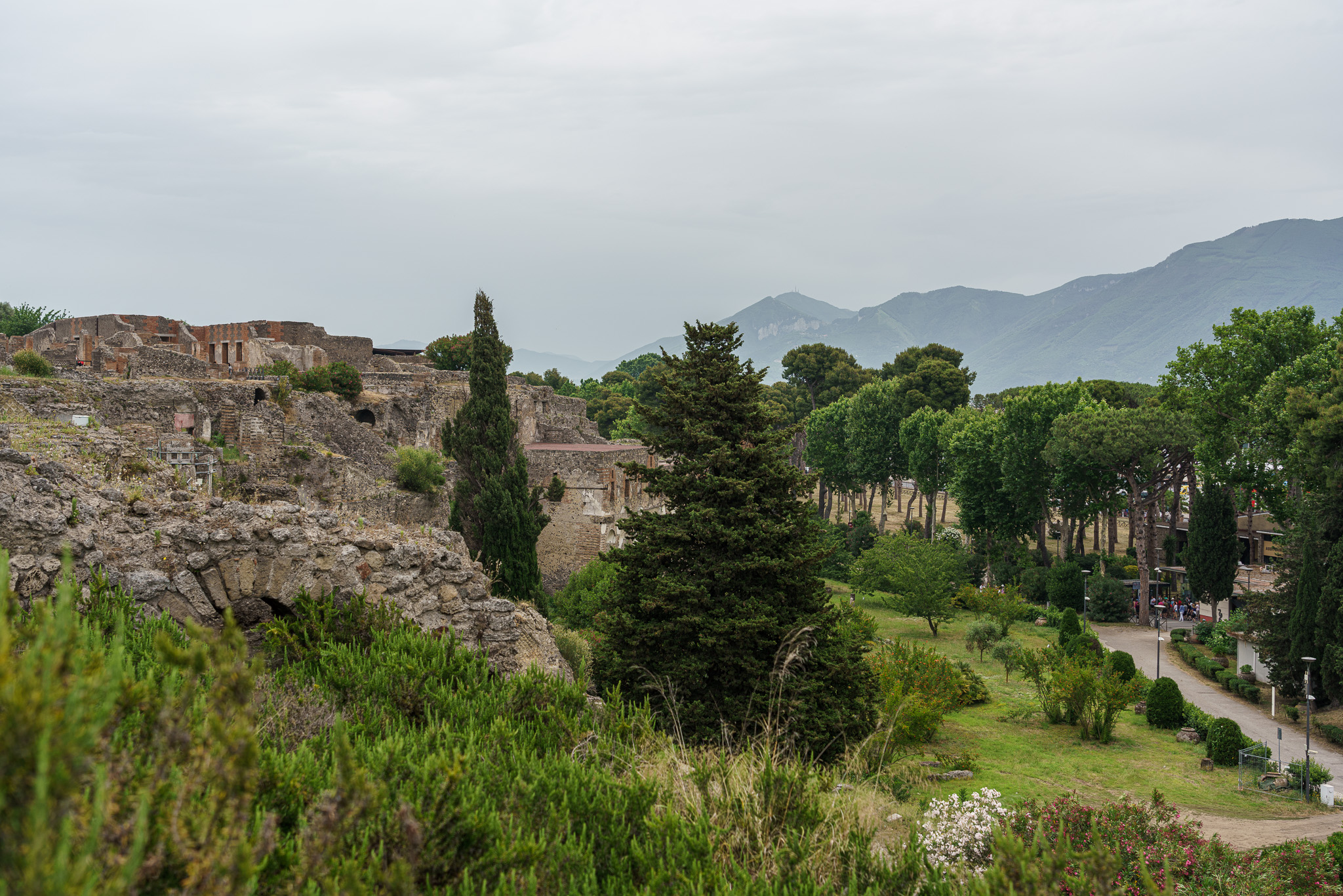 _DSC4868.jpg