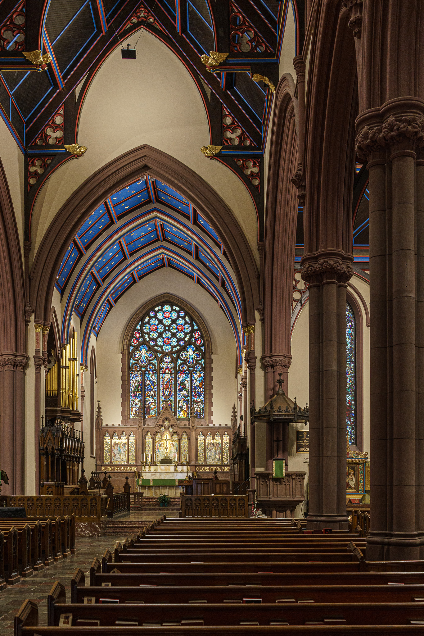 _DSC6646.jpg