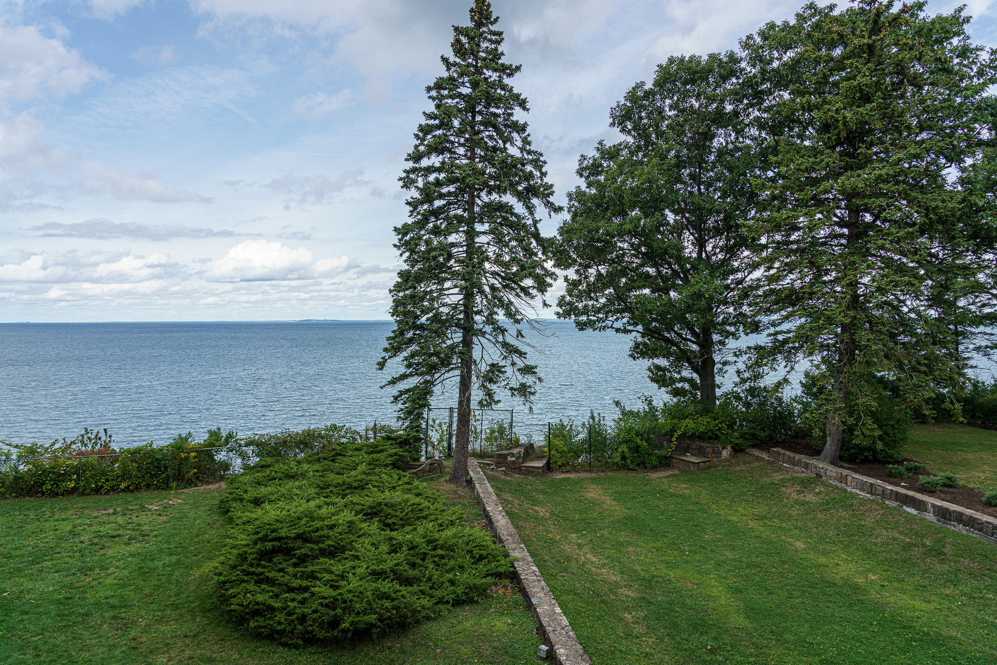 _DSC6890.jpg