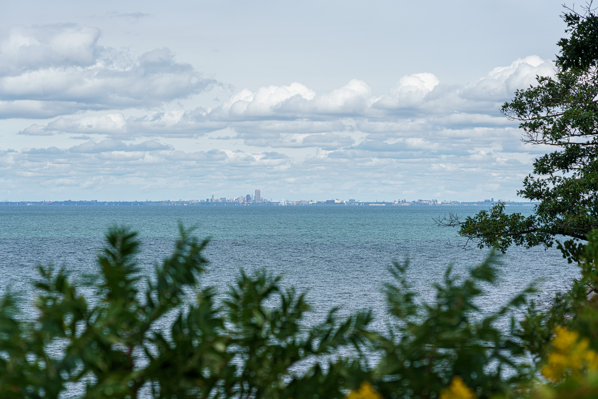 _DSC6937.jpg