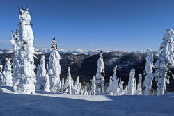 Ski Trip:  February 2020