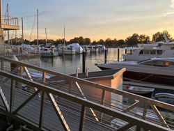 20211107_214743786_iOS.jpg 20211107_214743786_iOS.jpg