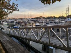 20211107_214854140_iOS.jpg 20211107_214854140_iOS.jpg