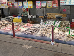 PXL_20211107_213200513.jpg PXL_20211107_213200513.jpg