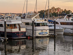 PXL_20211107_215004087.jpg PXL_20211107_215004087.jpg