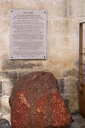 _SA10205.jpg