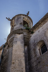 _SA10225.jpg