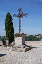 _SA10239.jpg