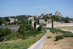 _SA10242.jpg