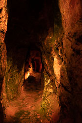 _SA10580.jpg