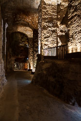 _SA10584.jpg