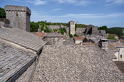 _SA10645.jpg