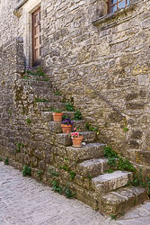_SA10681.jpg
