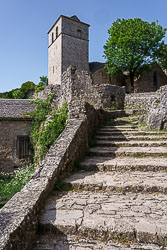 _SA10699.jpg