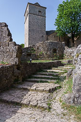_SA10700.jpg