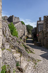 _SA10709.jpg