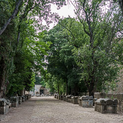 _SA10834.jpg