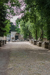 _SA10835.jpg