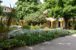 _SA10853.jpg