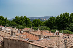 _SA10880.jpg
