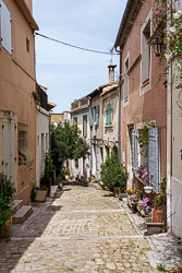 _SA10894.jpg