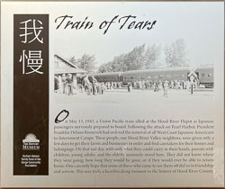 Mount Hood Railroad Railbike ride