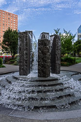 DSC02921.jpg