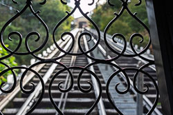 DSC03612.jpg