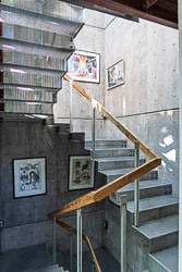 DSC05466.jpg