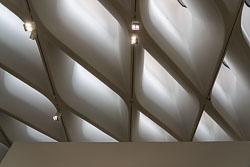 DSC04989.jpg