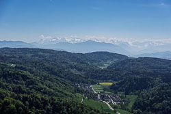 DSC06000.jpg