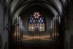 DSC06135.jpg