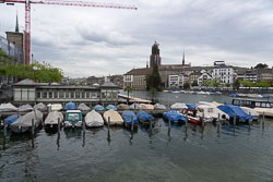 DSC06158.jpg