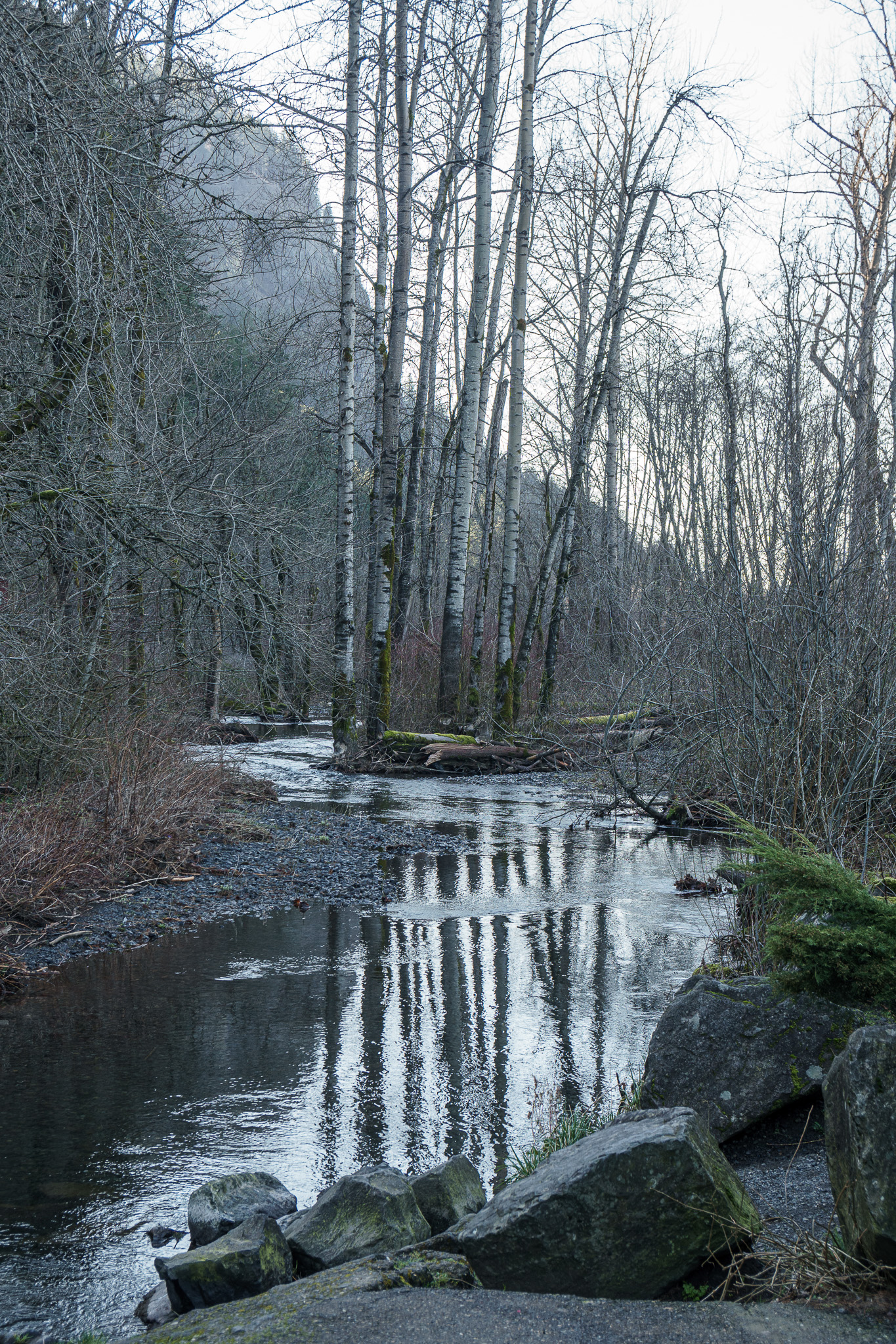 _DSC7262.jpg
