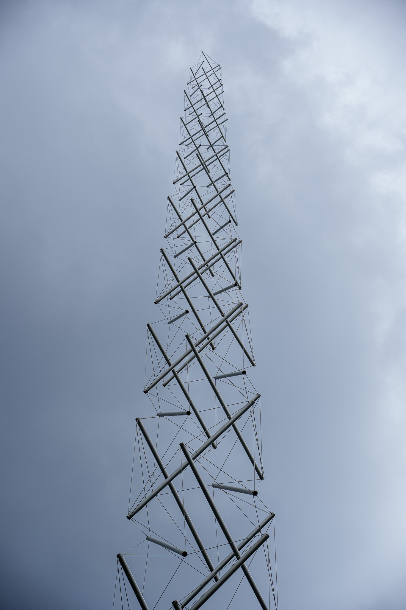 _SA13966.jpg