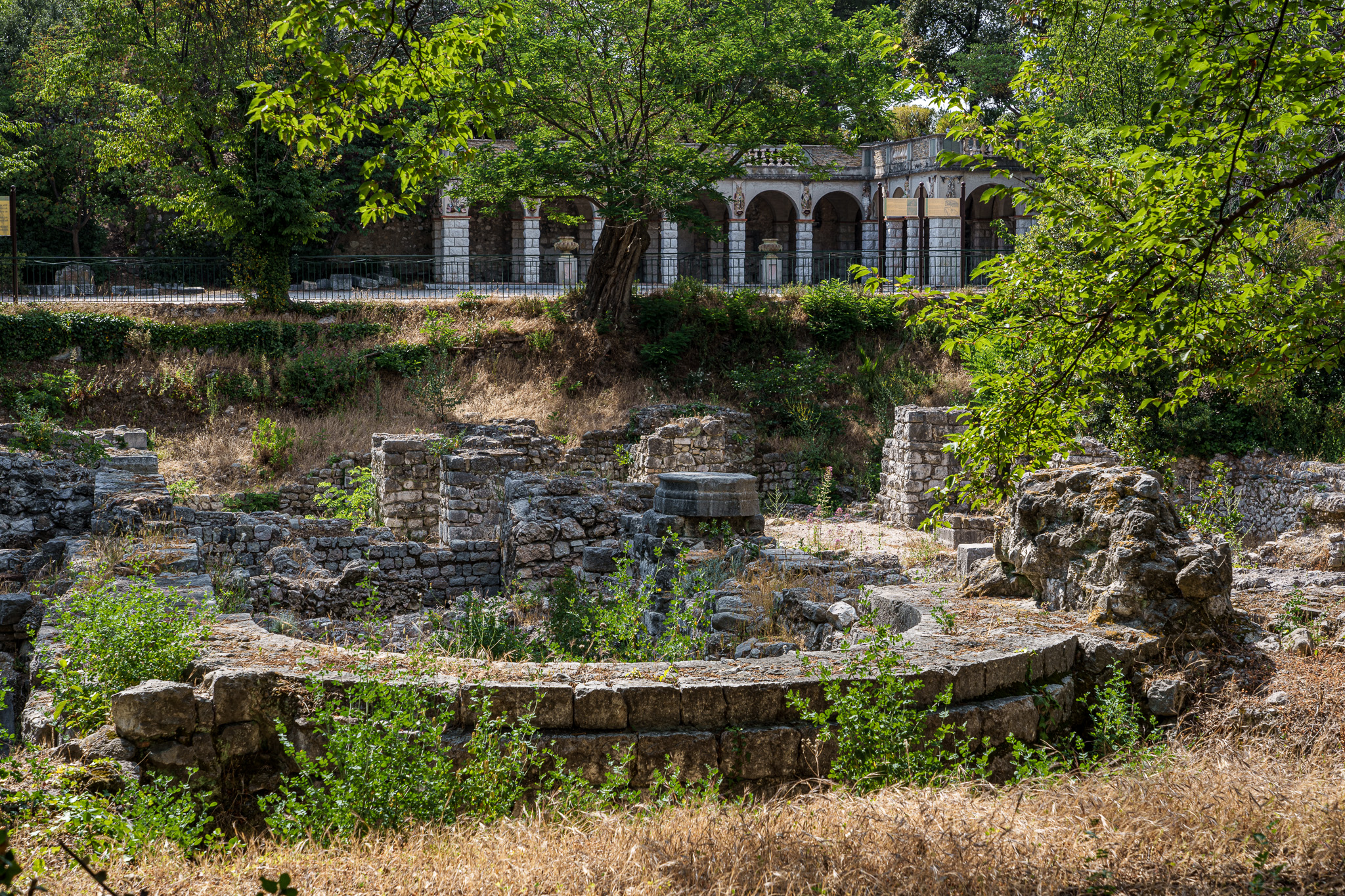 _SA12680.jpg