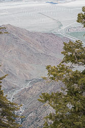 The Palm Springs Tramway