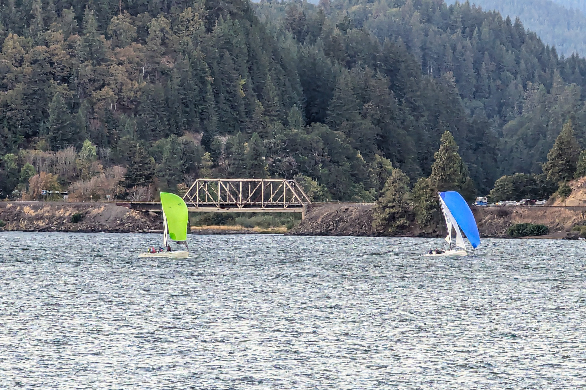 PXL_20240919_014531469.MP.jpg