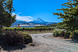 Mount Hood Railroad Railbike ride